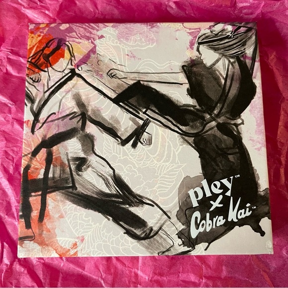 Cobra Kai x Pley Eyeshadow Palette | Cruelty-free - Picture 2 of 5